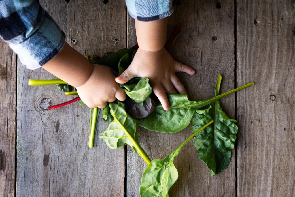 Bayam dan Kangkung: Sayuran Hijau yang Membuat Tulang Anak Kuat Seperti Besi